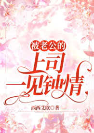 被老公的上司一见钟情了小说